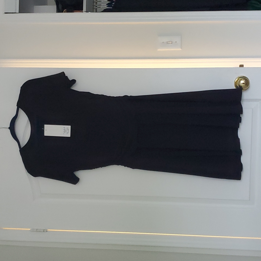 Rekucci dress 10P